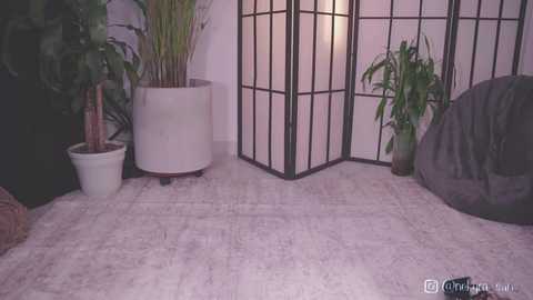 nekyra_san @ chaturbate on 20251002