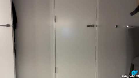 ava_delightt @ chaturbate on 20251004