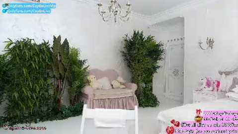 caylin @ chaturbate on 20251004