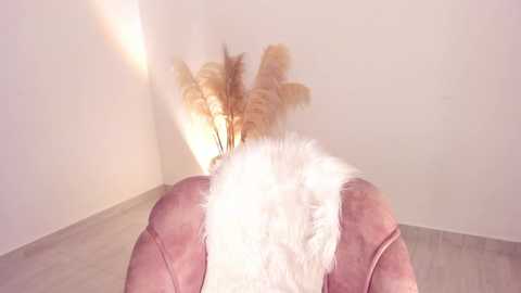 kim_murphy @ chaturbate on 20251004