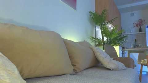 lili__roze_ @ chaturbate on 20251004