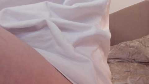 magic_couple13 @ chaturbate on 20251005