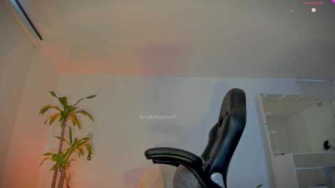 allysnow @ chaturbate on 20251006