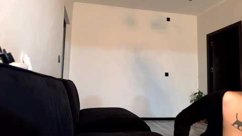 chaptertoo @ chaturbate on 20251006