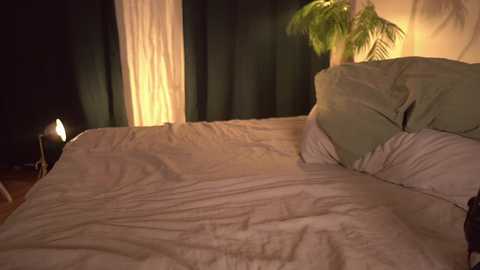 fuckingtoy_ @ chaturbate on 20251006