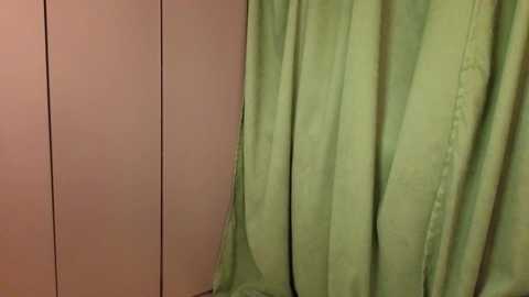 pamilarakestraw @ chaturbate on 20251006