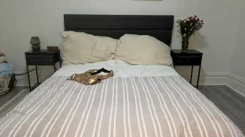 scarletterose_504259 @ chaturbate on 20251006