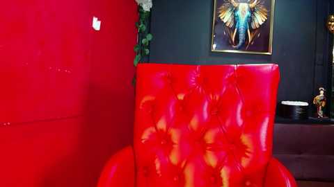 aitanarus @ chaturbate on 20251007