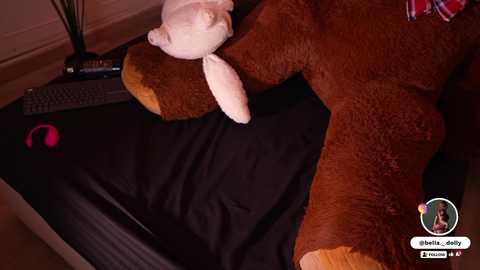 bella__donne @ chaturbate on 20251007