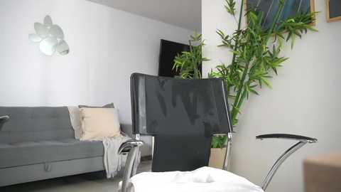 canelasungirl @ chaturbate on 20251007