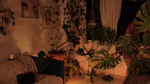 effylowell_ @ chaturbate on 20251007