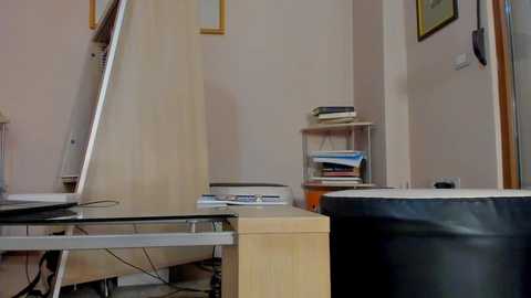 hotel77777 @ chaturbate on 20251007