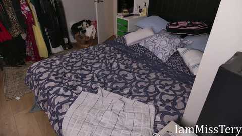 iammisstery @ chaturbate on 20251007