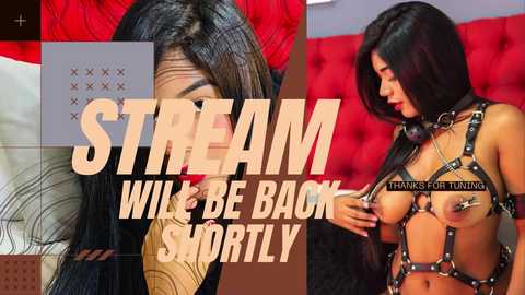 mollyrivera @ chaturbate on 20251007