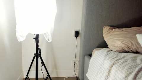 rachel_rey @ chaturbate on 20251007