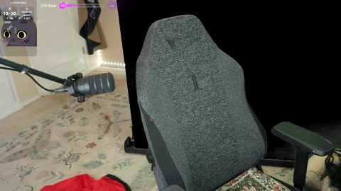 archancel @ chaturbate on 20251008