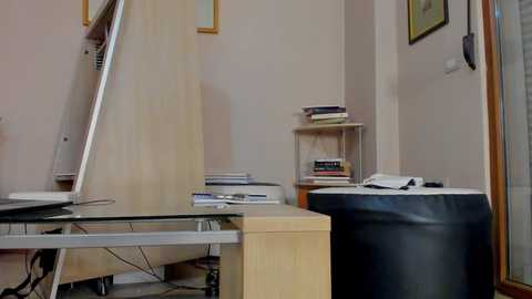 hotel77777 @ chaturbate on 20251008