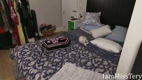 iammisstery @ chaturbate on 20251008