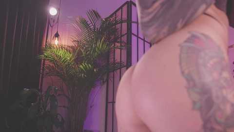 nekyra_san @ chaturbate on 20251008