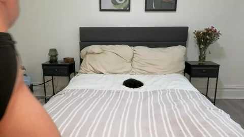 scarletterose_504259 @ chaturbate on 20251008