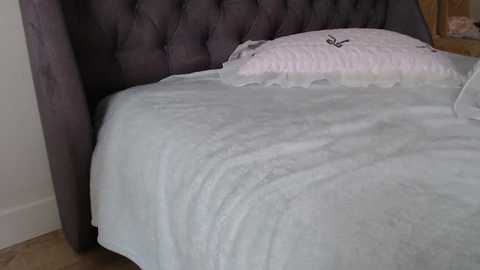 single_fox_4u @ chaturbate on 20251008