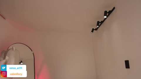 venus_art11 @ chaturbate on 20251008