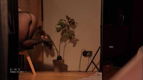 bronnica @ chaturbate on 20251009