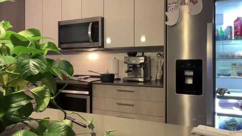 camiliakxoxo @ chaturbate on 20251009