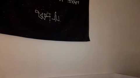 doublesees @ chaturbate on 20251009