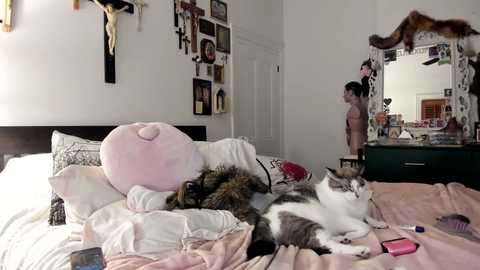 eve003300 @ chaturbate on 20251009