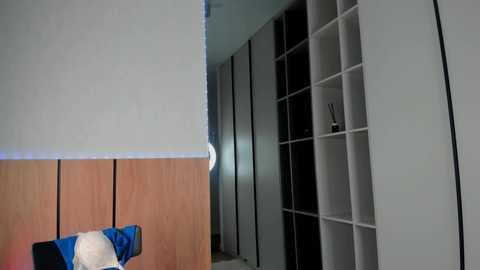 lalajecks @ chaturbate on 20251009