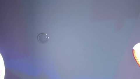 alicerosee___ @ chaturbate on 20251010