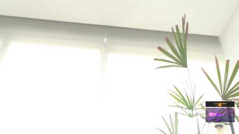 ohmysweetkitty @ chaturbate on 20251010