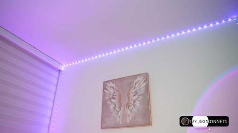 tammy_bonnet @ chaturbate on 20251010