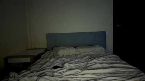 weddingcouple @ chaturbate on 20251010