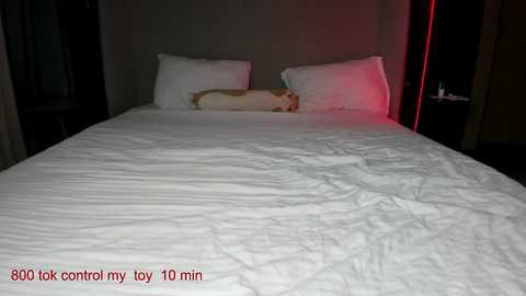 carolinaherera @ chaturbate on 20251011