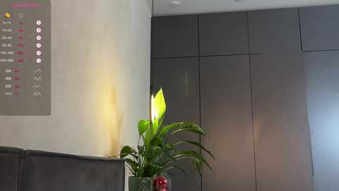 girl_next_door19 @ chaturbate on 20251011