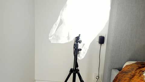 rachel_rey @ chaturbate on 20251011