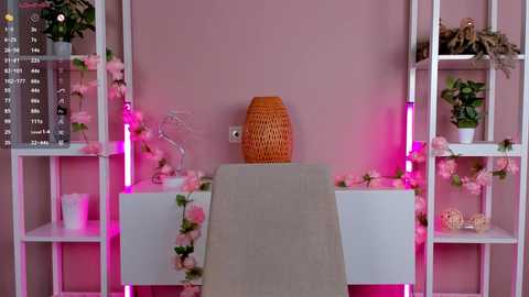 reaganprigg @ chaturbate on 20251011