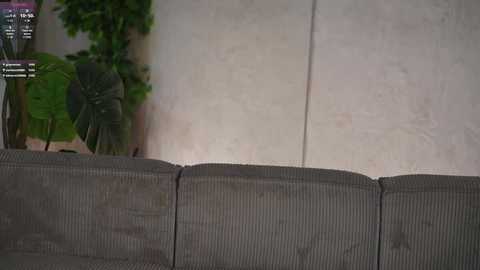 kira0541 @ chaturbate on 20251012