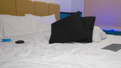 candylisa @ chaturbate on 20251013