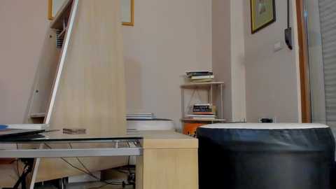 hotel77777 @ chaturbate on 20251013