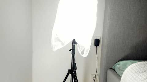 rachel_rey @ chaturbate on 20251013