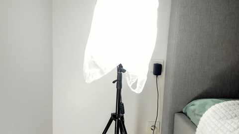 rachel_rey @ chaturbate on 20251013