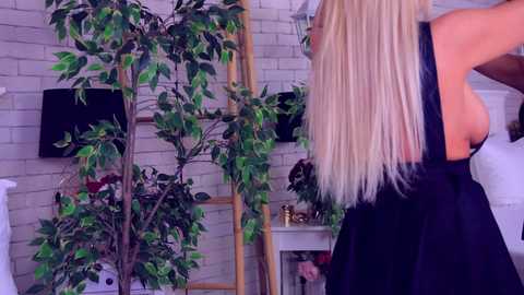 anabellastar @ chaturbate on 20251014