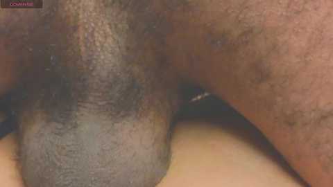 gina_akemi @ chaturbate on 20251015