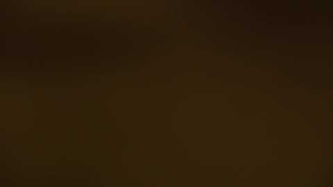 petites_perles @ chaturbate on 20251015