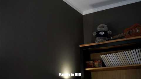 aislyfarran @ chaturbate on 20251017