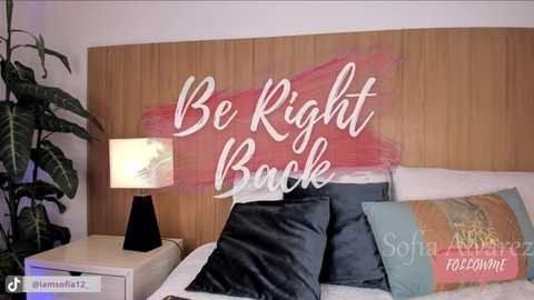 miss_soffy @ chaturbate on 20251017