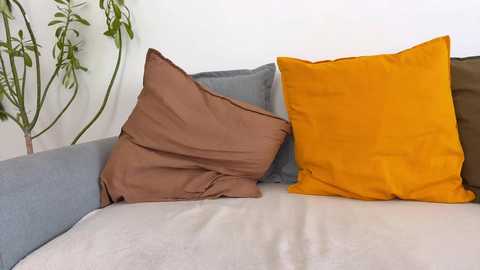 sweet_sugar87 @ chaturbate on 20251017